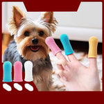 🐾 Brosse à Dents pour Animaux